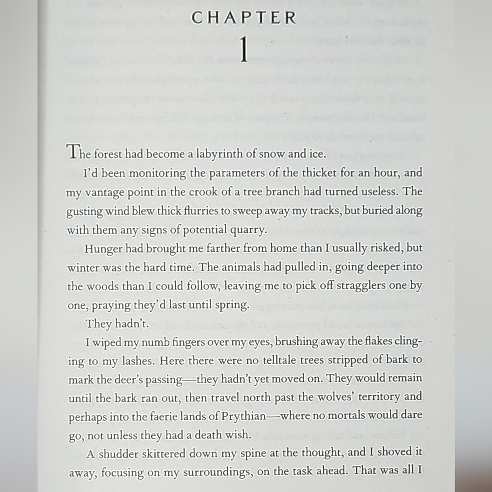 Sarah J Maas - A Court of Thorns and Roses - Fantasy Romance, Young Adult, Fae - Picture 6 of 6